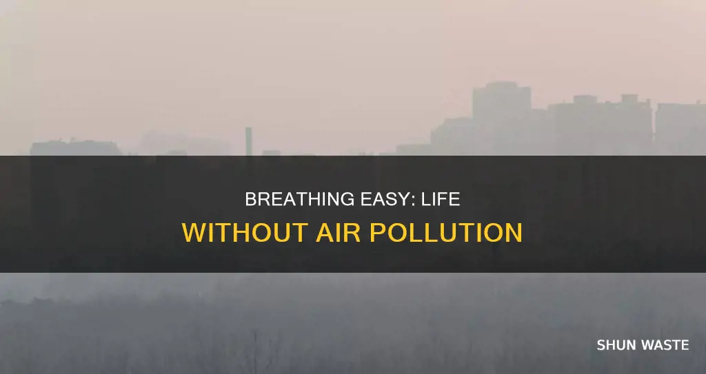 what it is like to live in no air pollution