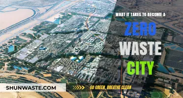 Transforming Urban Centers: The Journey to Zero Waste Cities