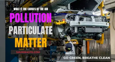 Air Pollution: Understanding Particulate Matter Sources