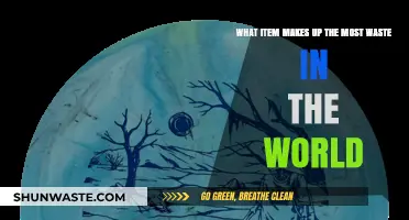 The Shocking Truth: What Item Dominates Global Waste Streams?