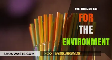 Eco-Unfriendly Essentials: Everyday Items Harming Our Planet