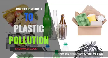 Plastic Pollution: Everyday Items, Big Impact