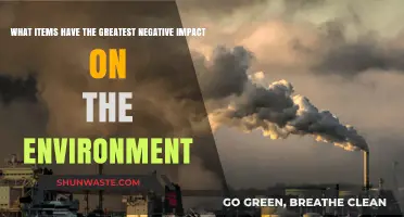Eco-Disasters: Top Items Harming Our Planet's Health Urgently