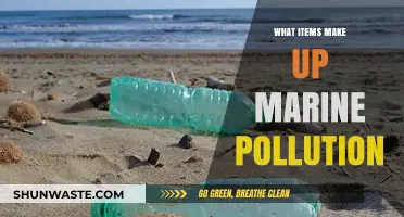 Marine Pollution: Understanding the Common Culprits