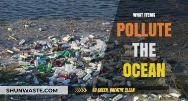Ocean Pollution: What Items Are Harming Our Seas?