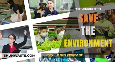 Eco-Friendly Careers: Jobs That Protect and Save Our Environment
