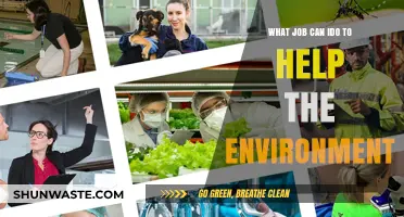 Eco-Friendly Careers: Jobs That Protect and Preserve Our Planet