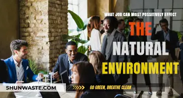 Sustainable Careers: Jobs That Positively Transform Our Natural Environment