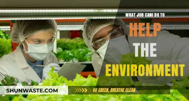 Green Careers: Jobs That Protect and Restore Our Environment