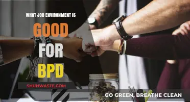 Creating Supportive Workplaces: Ideal Job Environments for BPD Individuals