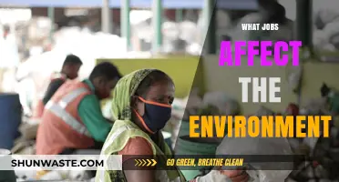 Jobs Impacting Our Planet: Exploring Careers with Environmental Footprints