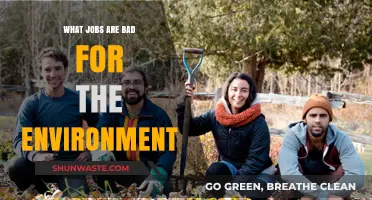 Eco-Unfriendly Careers: Jobs That Harm Our Planet and Why