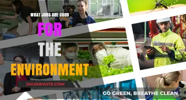 Sustainable Careers: Eco-Friendly Jobs Shaping a Greener Future