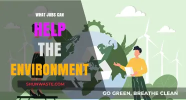 Green Careers: Jobs That Protect and Restore Our Environment