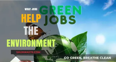Green Careers: Jobs That Protect and Preserve Our Planet