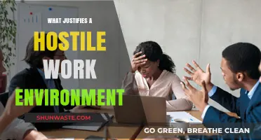Understanding Hostile Work Environments: Legal Boundaries and Employee Rights Explained