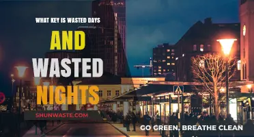 Unveiling the Key Behind 'Wasted Days and Wasted Nights