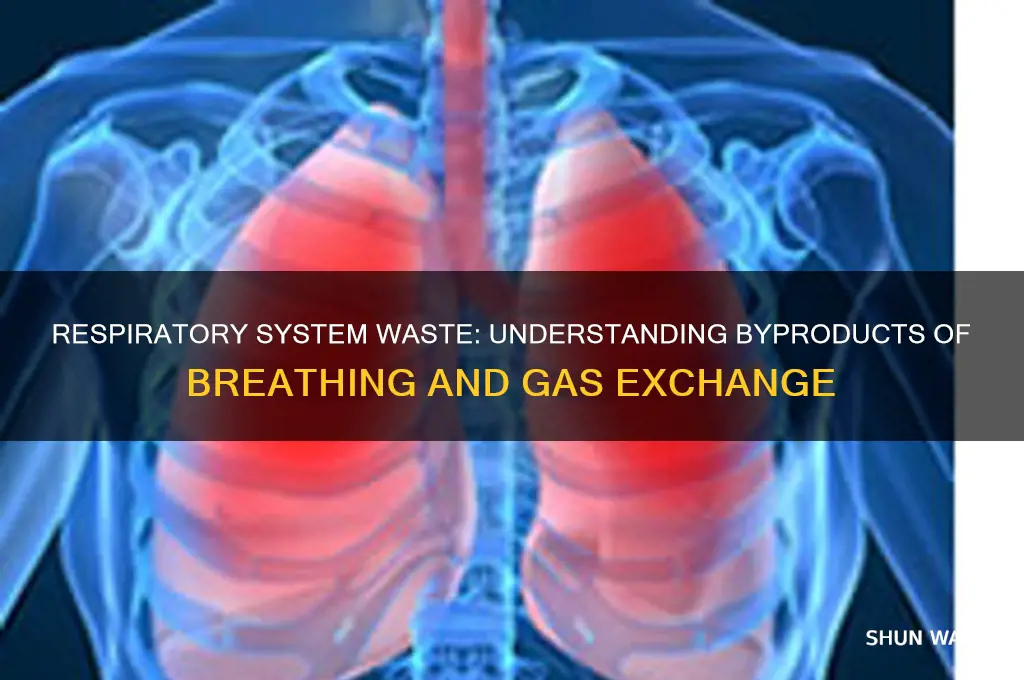 what kid of waste does the respiratory system make