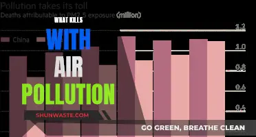 Air Pollution: A Silent Killer in Our Midst