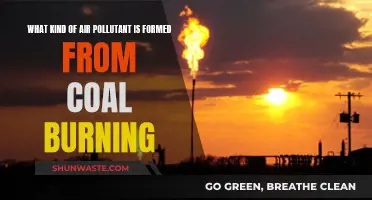 Air Pollution: Coal's Toxic Legacy