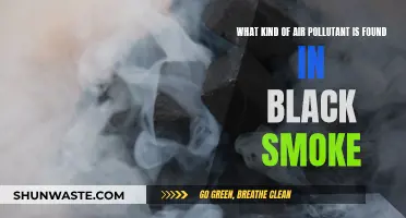 Black Smoke: What Pollutants Lurk Within?
