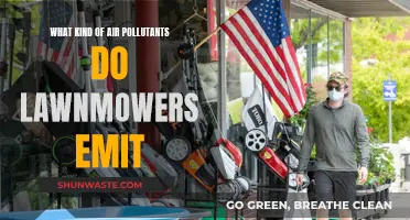 Lawnmowers: What Pollutants Are We Breathing?