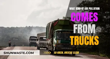 Trucks' Air Pollution: Understanding the Impact