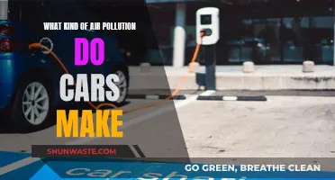 Cars' Air Pollution: Understanding Vehicle Emissions