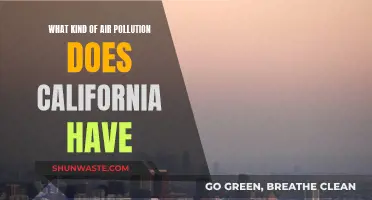 California's Air Pollution Crisis: Understanding the Complex Issue