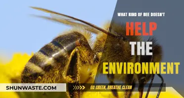 The Truth About Non-Pollinating Bees and Their Environmental Impact