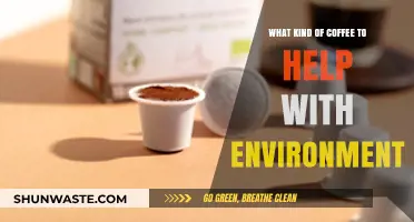 Eco-Friendly Coffee Choices: Brewing a Greener Cup for the Planet
