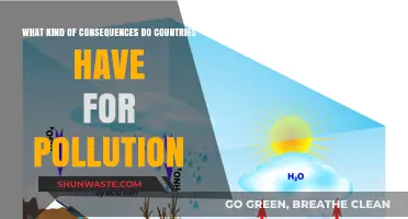 Pollution Penalties: Global Impact, Global Responsibility