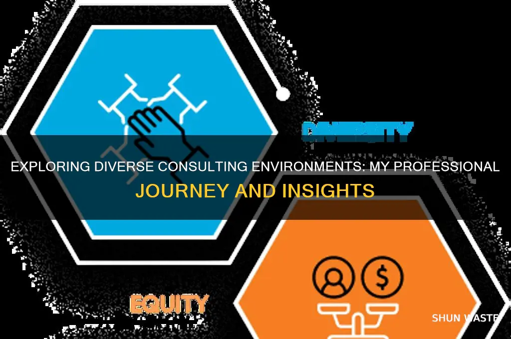 what kind of consulting environment have you worked