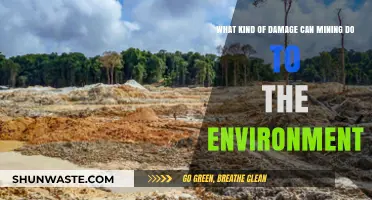 Mining's Environmental Impact: Uncovering the Devastating Damage It Causes