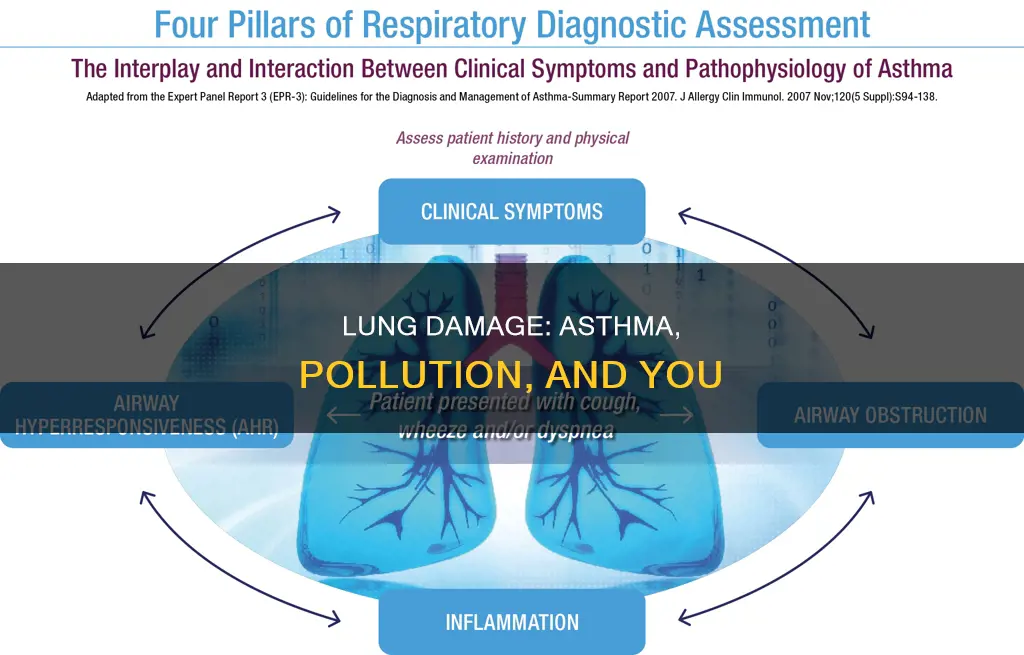 what kind of damage to lungs from asthma and pollution