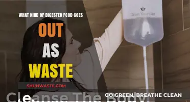 Understanding Digestive Waste: What Your Body Excretes