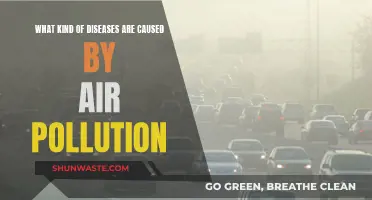 Air Pollution: A Lethal Inhalation