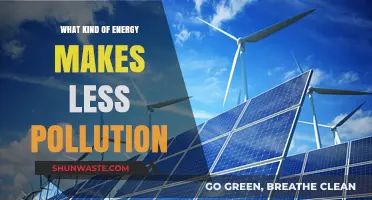 Clean Energy: Powering a Pollution-Free Future
