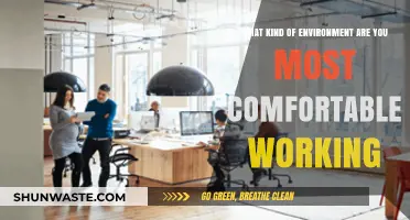 Discover Your Ideal Workspace: Where Productivity and Comfort Align