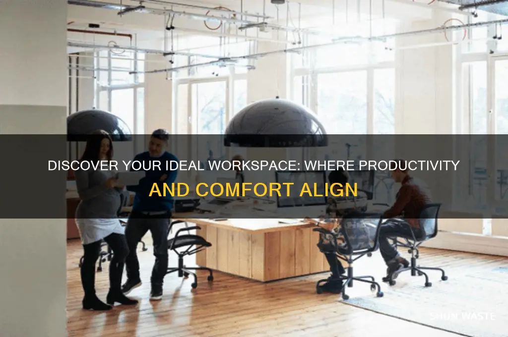 what kind of environment are you most comfortable working