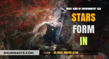Stellar Nurseries: Exploring the Cosmic Environments Where Stars Are Born