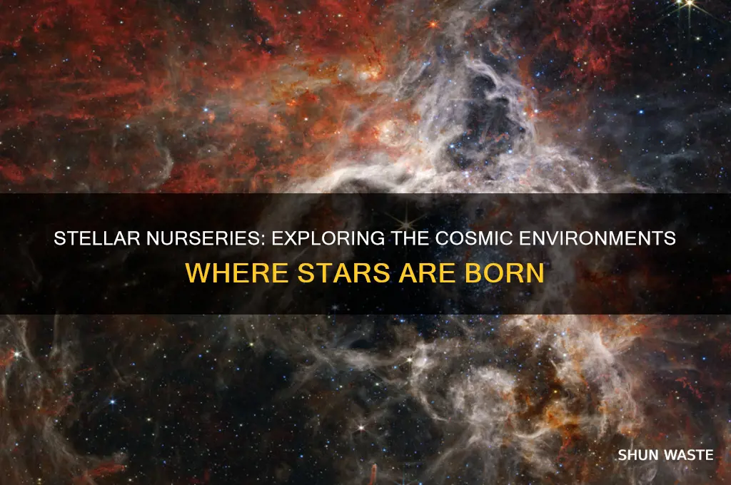 what kind of environment can stars form in