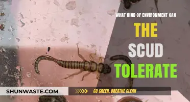 Scud's Resilience: Exploring the Diverse Environments It Can Tolerate