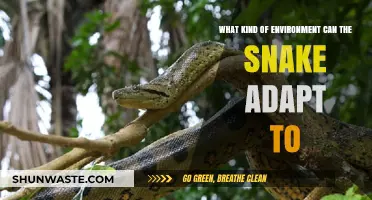 Snake Adaptability: Exploring Diverse Habitats and Survival Strategies