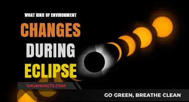 Eclipses and Environmental Shifts: Unveiling Nature's Transformations During Celestial Events