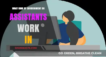 Exploring the Diverse Work Environments of Modern Assistants