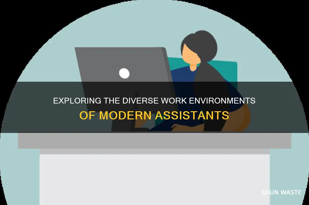 what kind of environment do assistants work in