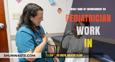 Exploring Pediatricians' Work Environments: Clinics, Hospitals, and Beyond