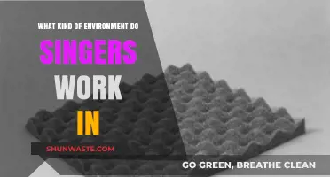 Exploring the Diverse Work Environments of Singers: Stages, Studios, and Beyond