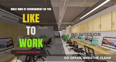 Crafting Productivity: Ideal Work Environments for Focus and Creativity